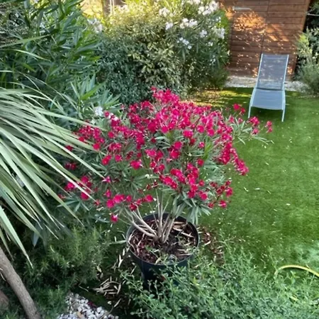 Appartamento Maison Avec Jardin Et Parking Prive *